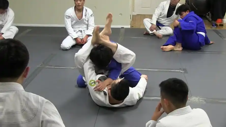 韩国柔术教练-sweep to triangle to armlock to kimura
