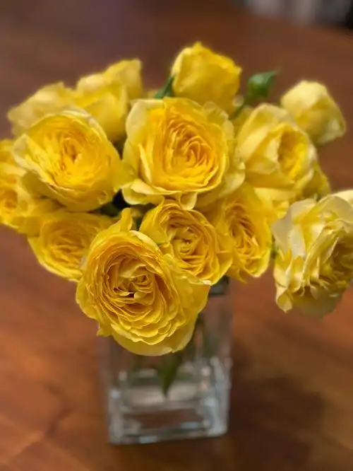 肯尼亚多头玫瑰柠檬泡泡