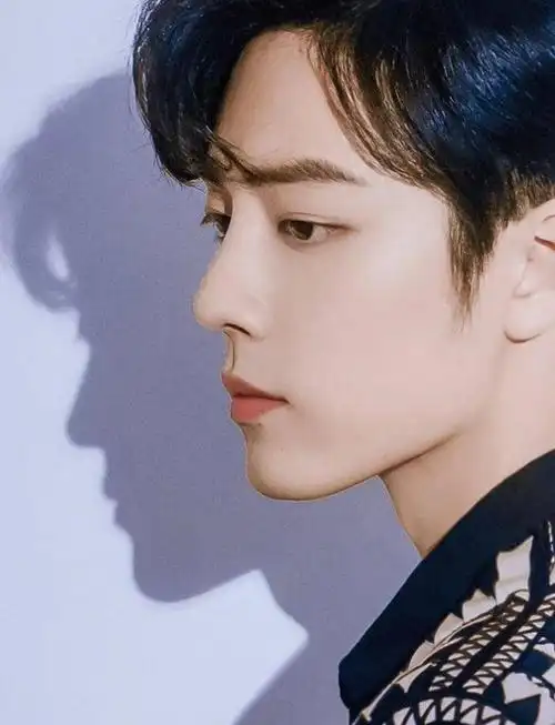 影视明星肖战时尚写真英俊帅气的男神