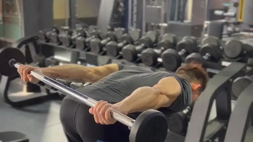 如何练好肱三头肌,新手选择轻重量即可,俯身杠铃身后臂屈伸#健身教学