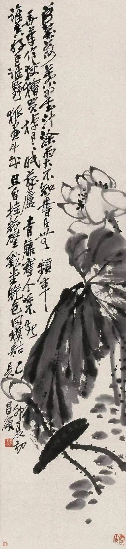 吴昌硕:画荷最忌呆黑_石涛和_赵之谦_狂草