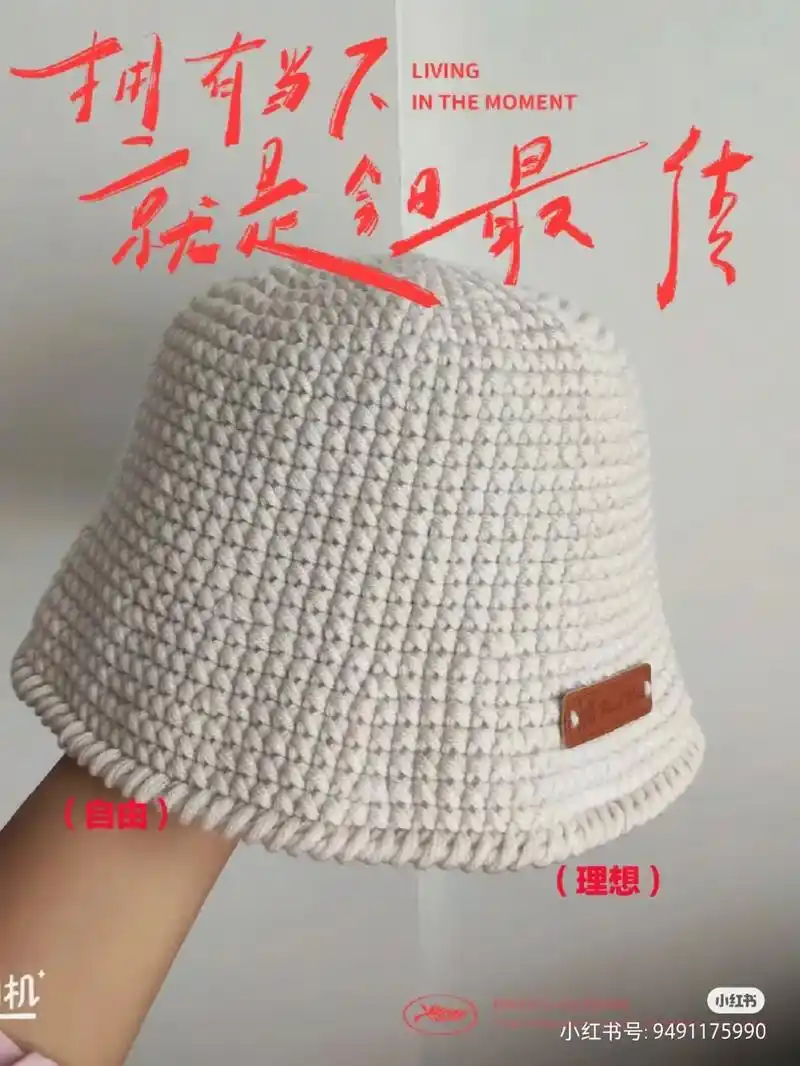 该有一款帽子戴了!#图解分享 #钩针编织  - 抖音