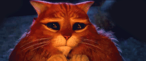 500_211gif 动态图 动图