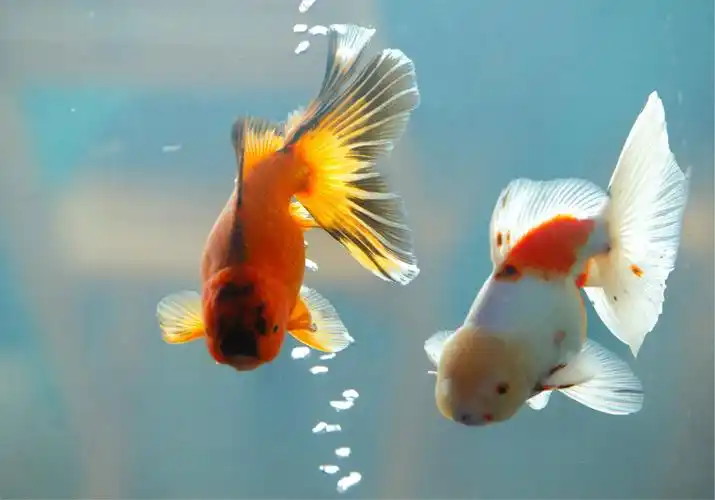 走过的路看过的美景都化成最美好的祝福