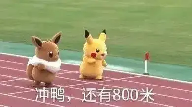 一年一度的体测又来啦!