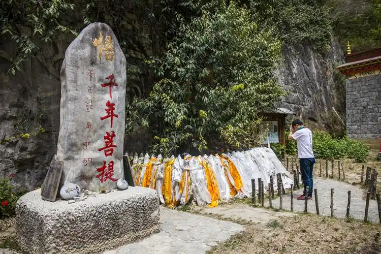 原创云南有棵千年菩提树,一夜之间长出一只佛手,传说有招财的神力