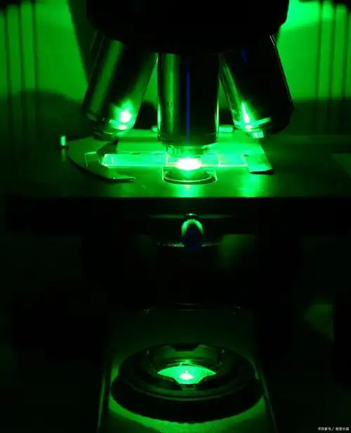其中,光源是荧光显微镜的核心部件,能够发出强烈的紫外线,为观察样本