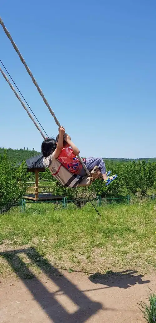荡秋千可是朝鲜族的特色运动呢,瞧,我们荡的多高