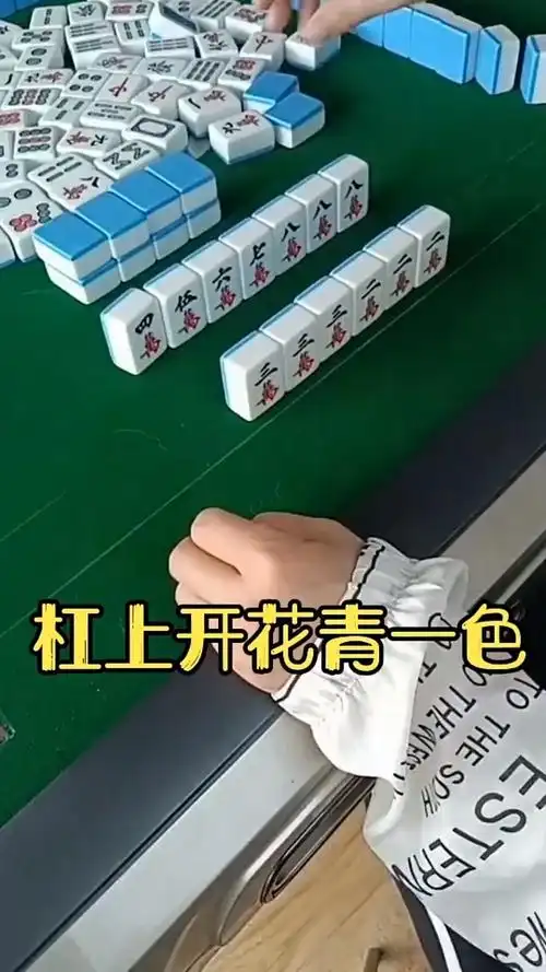 杠上开花清一色,真不错啊!