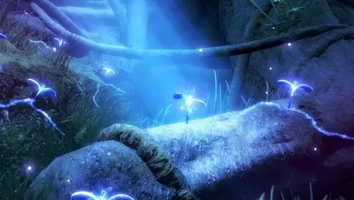 蓝银草进化后不再惧怕火焰,只被这个武魂克制,唐三看后瑟瑟发抖