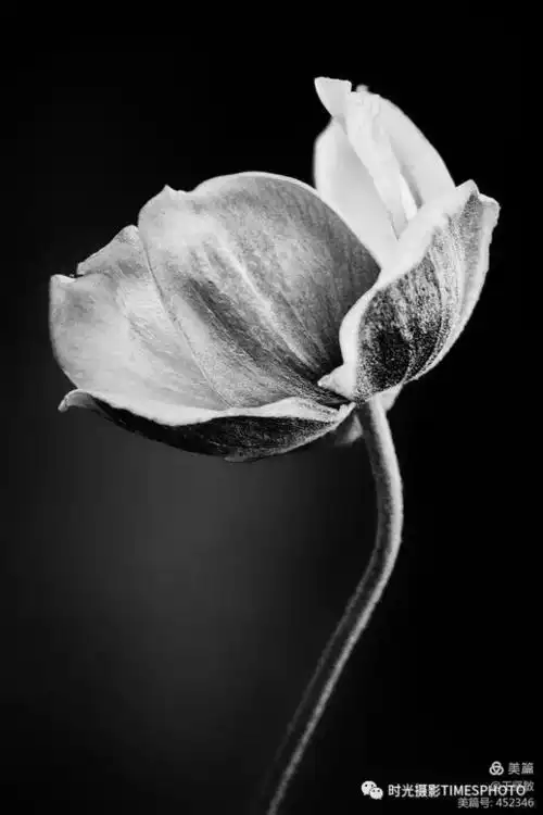 其它 英国摄影师 hegel jorge的低调摄影 写美篇         三,低调照片