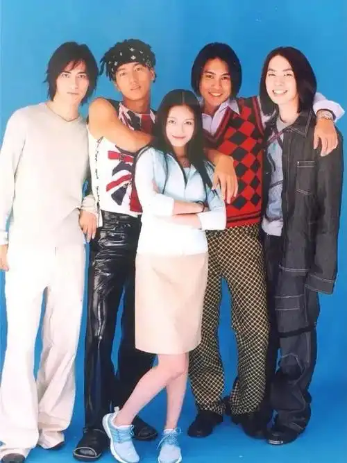 这么多版本的流星花园