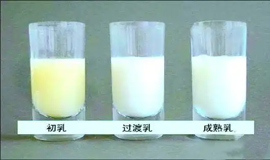 职场妈妈:母乳喂养,你坚持住了吗