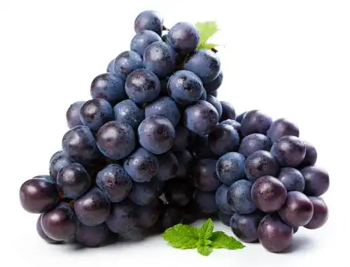 白底上的巨峰葡萄 夏黑