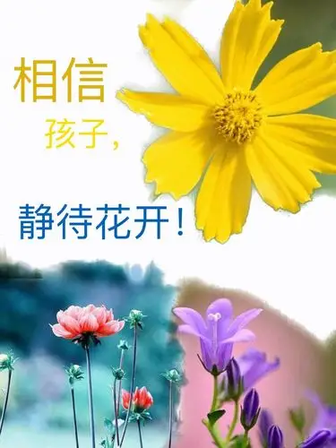 相信孩子静待花开——秀江中学召开2018年秋季家长会
