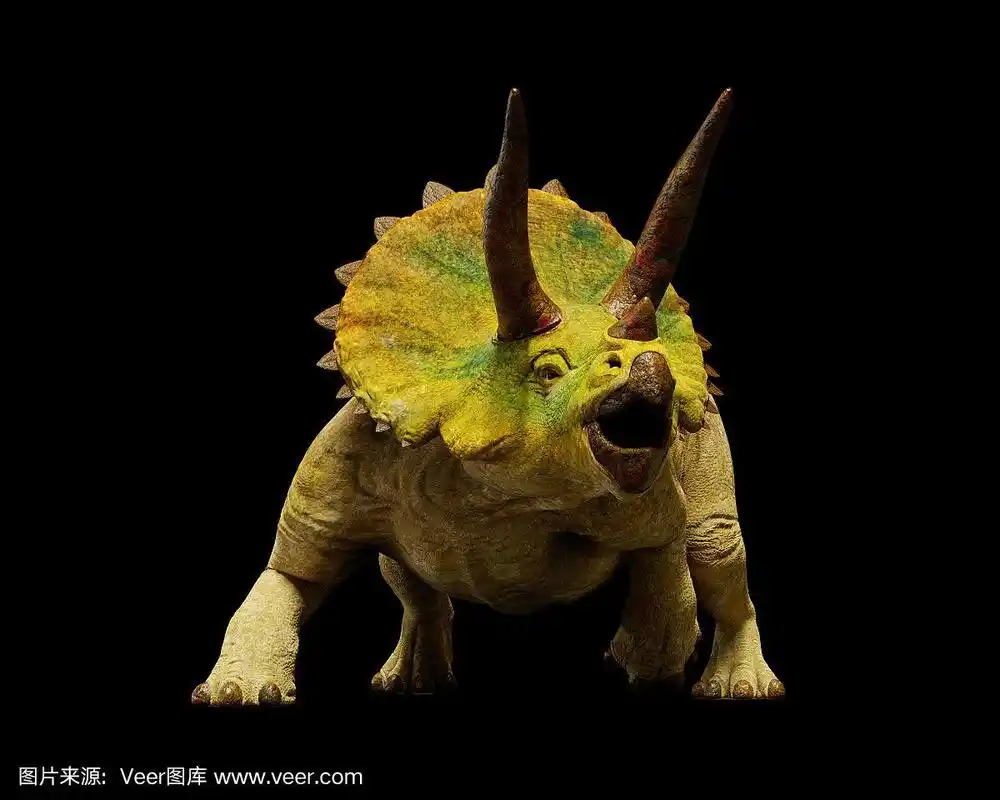 恐怖三角龙,灭绝的史前动物(3d渲染孤立在黑色背景上)