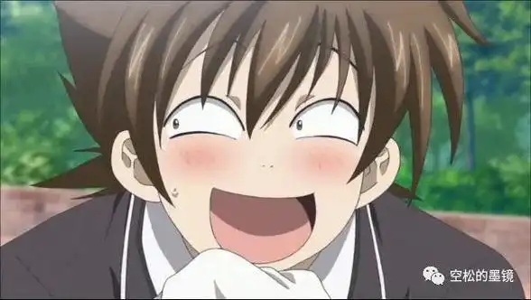 笼手的所有者都会白龙皇之光翼的所有者进行争斗后被兵藤一诚解除争斗