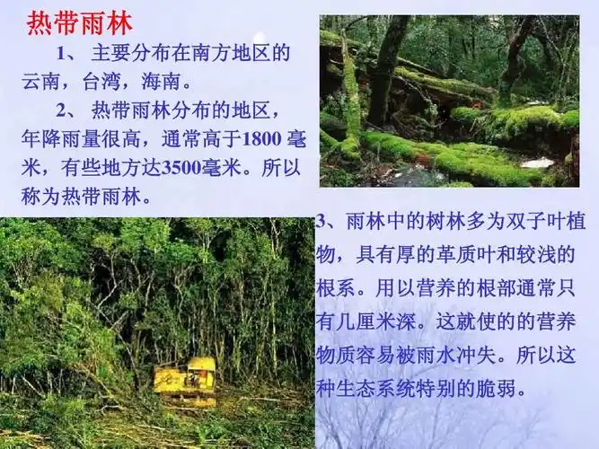 2, 热带雨林分布的地区, 年降雨量很高,通常高于1800 毫 米,有些地方