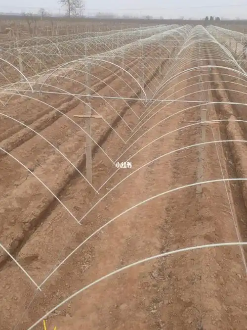 玻璃纤维杆葡萄避雨棚