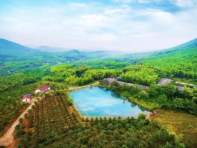 煤山美不美要飞着看