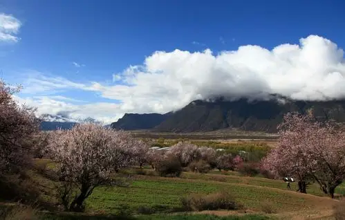 人间仙境 - 堆糖,美图壁纸兴趣社区