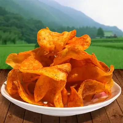 贵州特产大方麻辣土豆片土豆丝共6包现炸香脆小吃零食包邮