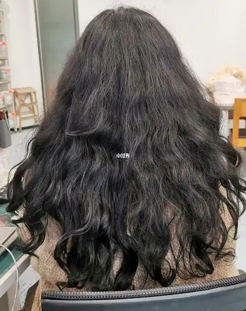 失去打理的乱糟糟卷毛6901