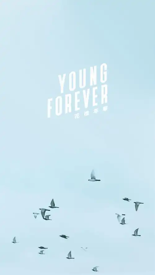 03滴滴0花样年华,防弹少年团245张图片·0人收藏还被收集在142个专辑