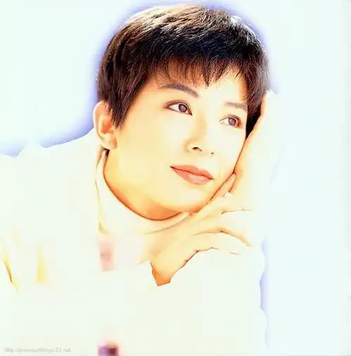 台湾流行歌星陈淑桦歌曲精选26首【精美音画】