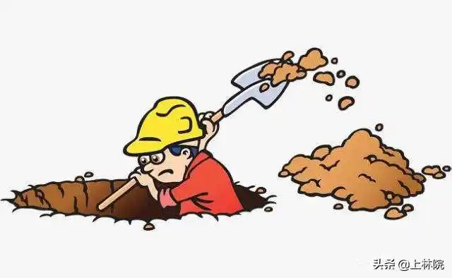 网上投资亏损上百万元,洛阳男子挖洞偷金店, 你怎么看? - 石塘网