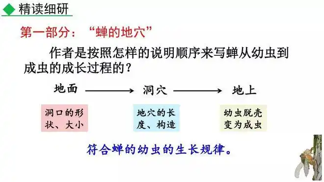 部编版语文八年级上第19课蝉朗读知识点课件