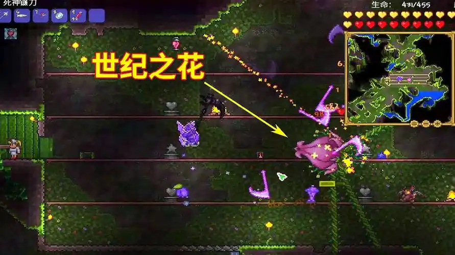 泰拉瑞亚世纪之花在哪里