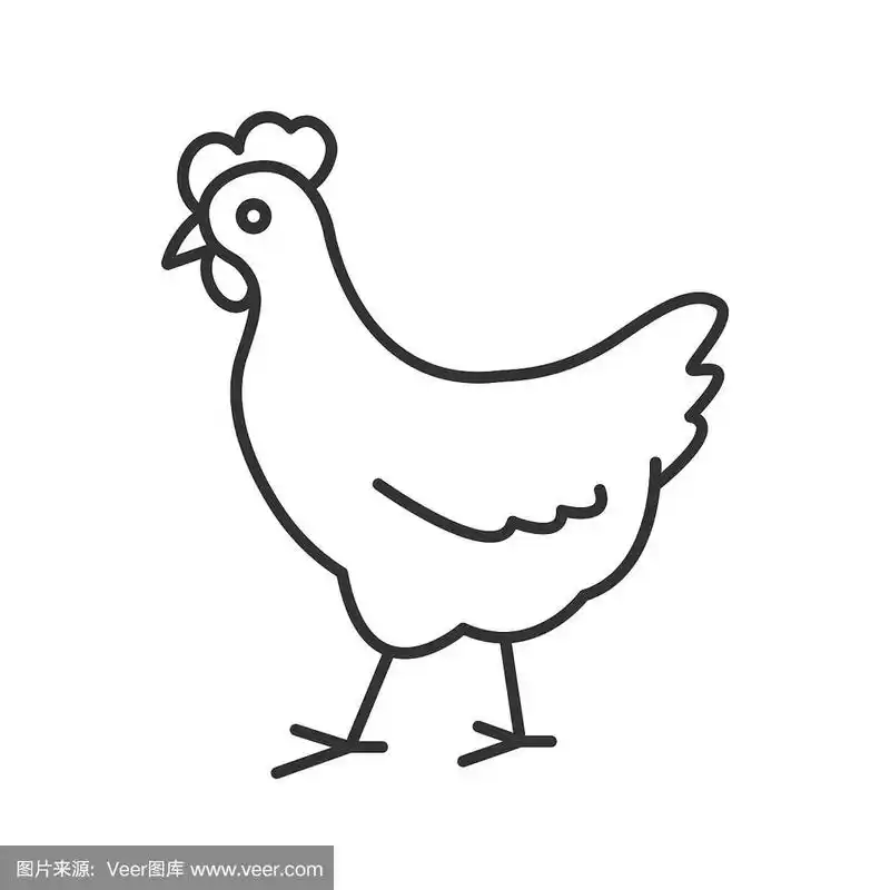图标,鸡,艺术,轮廓线画,家畜