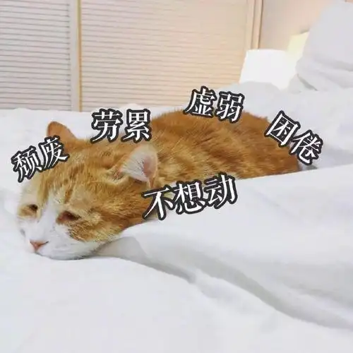 萌宠gif猫星人gif颓废gif不想动gif呆萌gif可爱gif