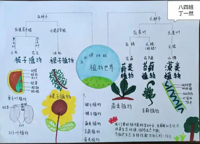 创新思维导图 点亮生命科学