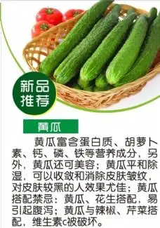 黄瓜简介
