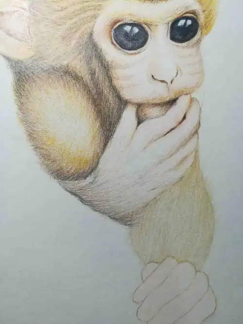 彩铅步骤(88)l 破"壳"而出的小猴子 - 简书