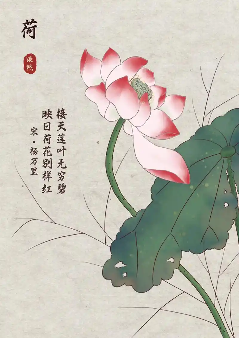荷花合集.作品来自我可爱的学员@淡然古典工笔  #古风 #张 - 抖音