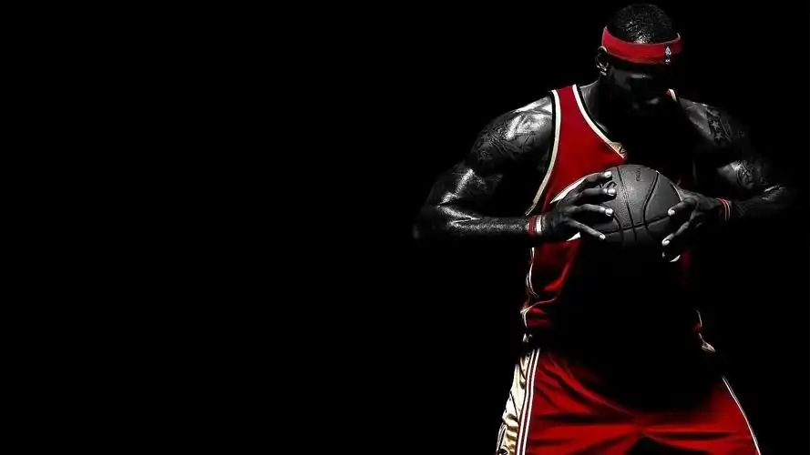 nba球星詹姆斯,nba,球星,詹姆斯,高清壁纸,桌面图片-壁纸族