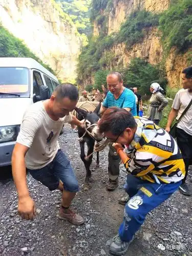 【901|关注】《铁血阳泉》将于今晚在cctv6播出