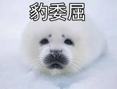 海豹拍肚皮图片_海豹拍肚皮动态图_海豹拍肚皮表情包gif动图下载_soo
