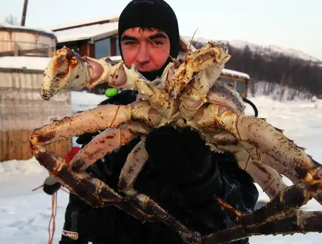 gnyxowchl6"> a target="_blank" href="/item/堪察加拟石蟹/6116839"