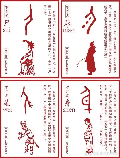 甲骨文真的很有意思: 	 ▪️甲骨文"人"字,象形字,就像是一个侧向