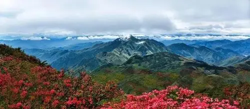 来龙游六春湖看秋吧