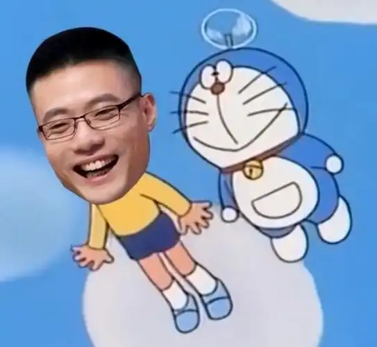 大司马芜湖起飞表情包大全gif图