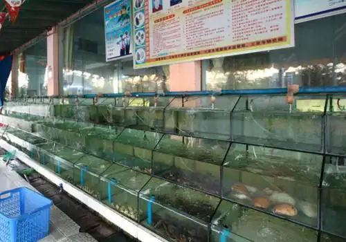 水产店面如何装修