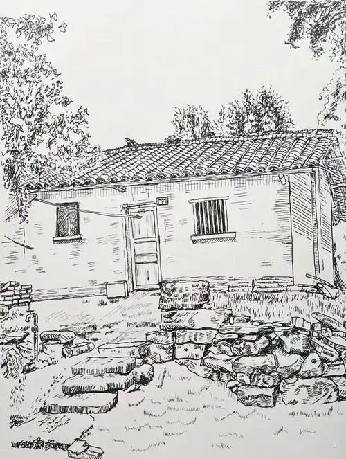 每日一画day225钢笔画之还是熟悉的老房子