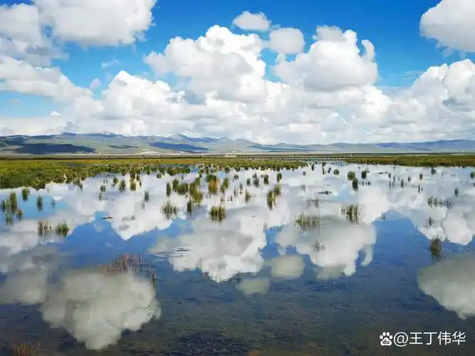 若尔盖大草原花湖景区 花湖景区位于四川省阿坝藏族羌族自治州若尔盖