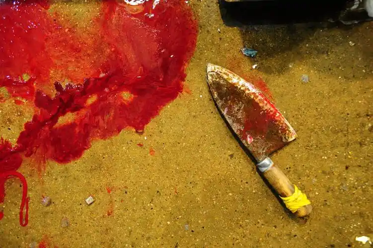 横图,俯视,室外,特写,白天,渔业,首尔,韩国,首都,一个,红色,刀,血液