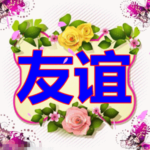 300_300gif 动态图 动图